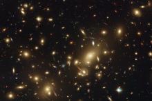 Galaxies in dense environments tend to be larger, settling one cosmic question and raising others